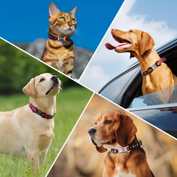 Servcie Hundemarke – 2 Stück, Rot, Größe L, Für Halsband & Geschirr, Inkl. ID-Tag